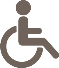 icono-disabled